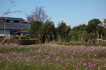 4-DSC04354