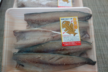 11−津田水産DSC09044
