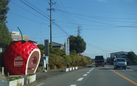 1-ぱすたろうDSC09876