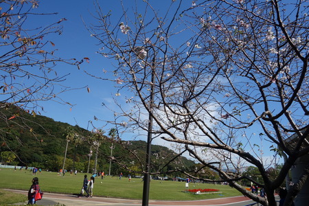 1-DSC07275