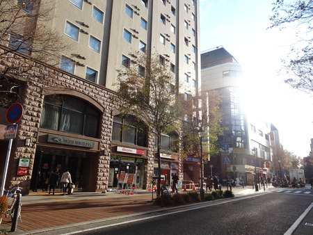 11-DSC01313