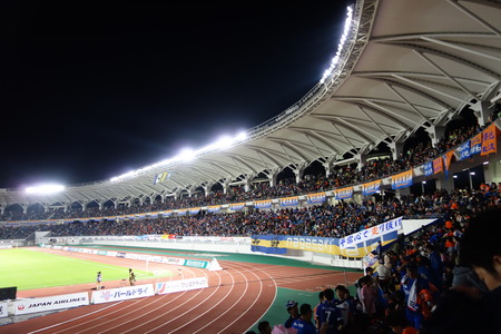8-DSC03519