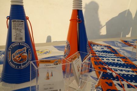 31-DSC03721