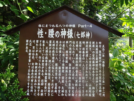 8-DSC02692