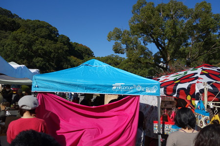 12-¥Ô¥¯¥Ë¥Ã¥¯¥Þ¥ë¥·¥§DSC08173