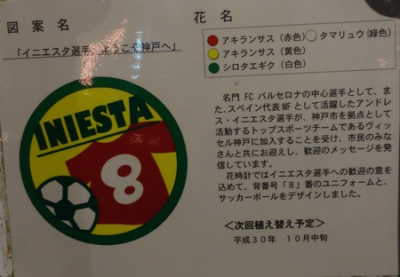 2-神戸DSC06578