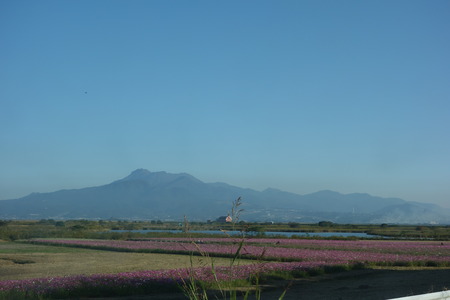 1-¹âÍè¤Î¤Ò¤Þ¤ï¤êDSC07417