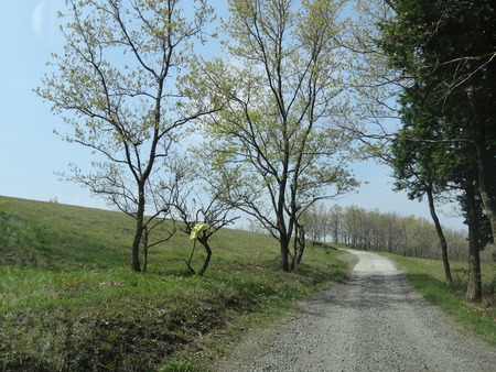 4-DSC00244