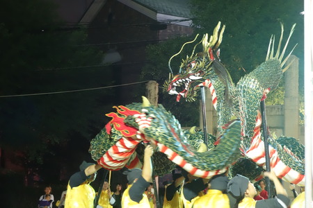 9-DSC09914