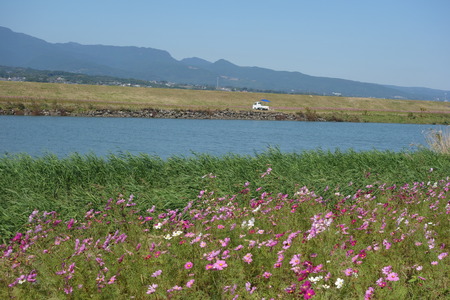 8-DSC00536
