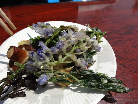 17-DSC00322