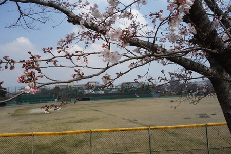 4-諫早市営球場DSC00987