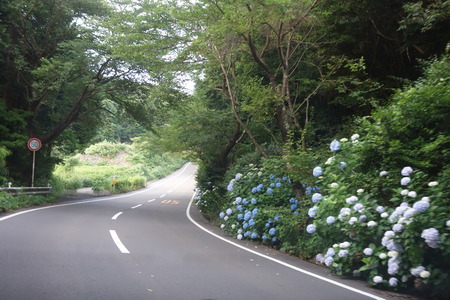 3-DSC09444