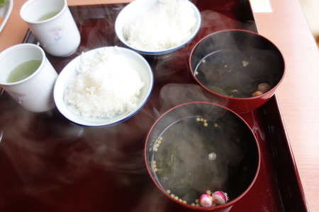 19−椎葉山荘 山法師DSC08334