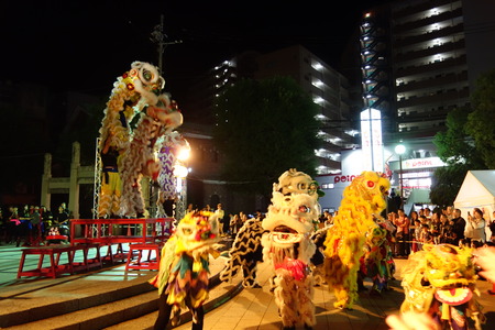 6-DSC09851