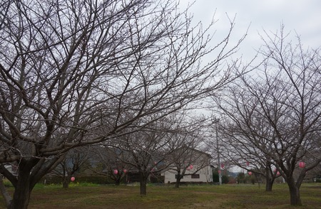 23−森山町桜まつりDSC01264