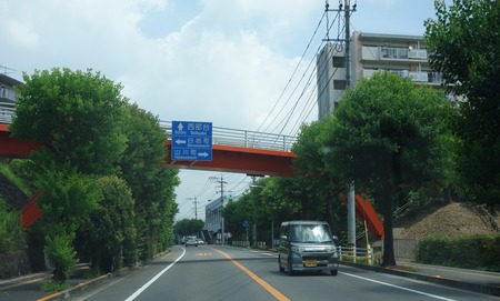 1-助さん格さんDSC00866