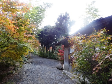 2-DSC00347