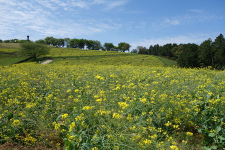 8-DSC04748