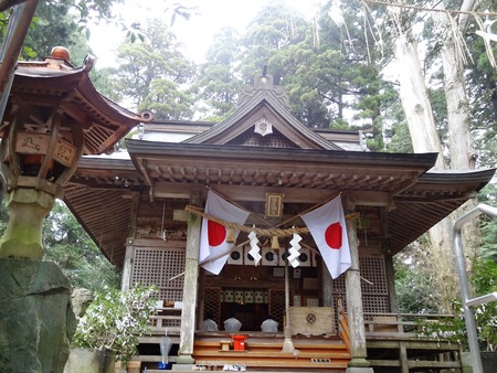 8-DSC09376