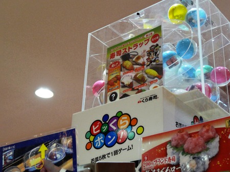 6-DSC00810