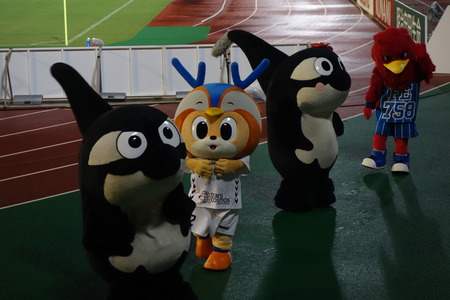 34-DSC04118