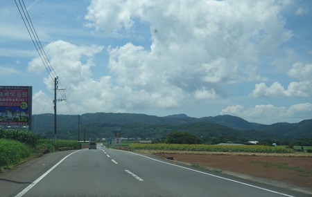 15-雲仙市愛野町」ひまわりDSC00552