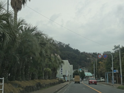 3-小浜温泉望洋荘DSC08930