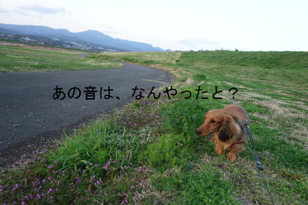 BlogPaint