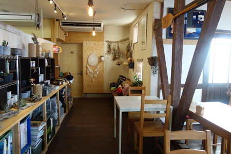 11-なみのうおDSC04011