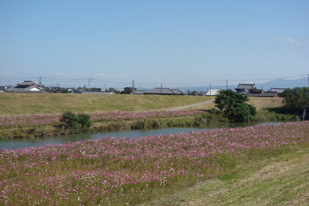6-DSC00557