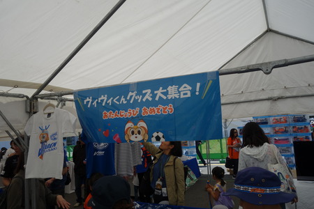 11-DSC06479