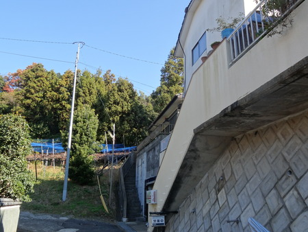 4-DSC01046
