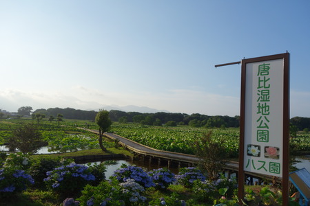 6-DSC09445