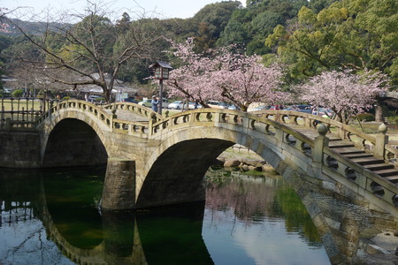 3-DSC03578
