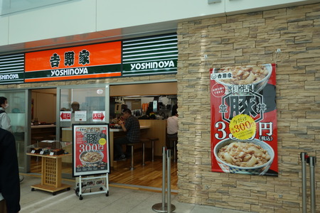 10-羽田空港国際線DSC06417