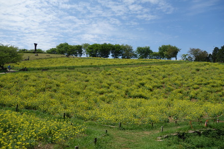 8-DSC04756