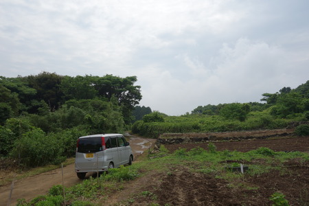 19−諫早市森山町 恵あじさい園DSC02738