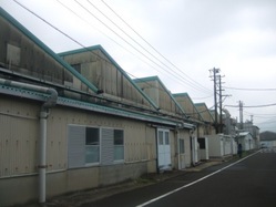 norotake