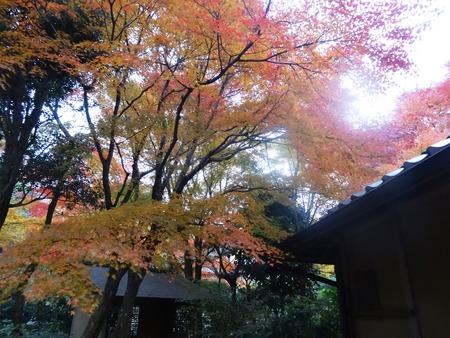 24-DSC00429
