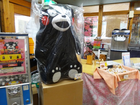 6-DSC09370