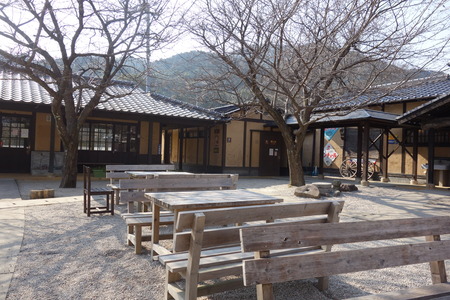 11-おしとりDSC01206