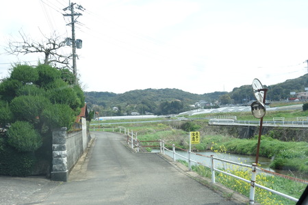 13-大村市鈴田峠千本桜DSC05928