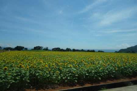 16-雲仙市愛野町DSC00558