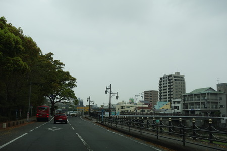 1-すみれDSC04237