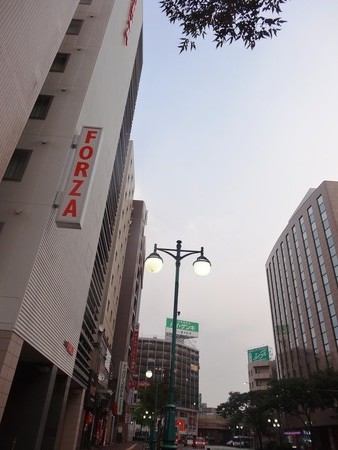 11-DSC08329