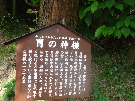 4-DSC02673