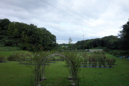 20-V¥Õ¥¡¡¼±àĹºêDSC00035