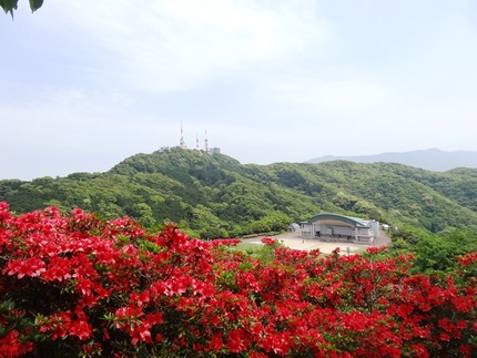 5-稲佐山DSC08781