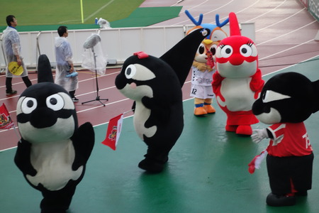 28-DSC04074
